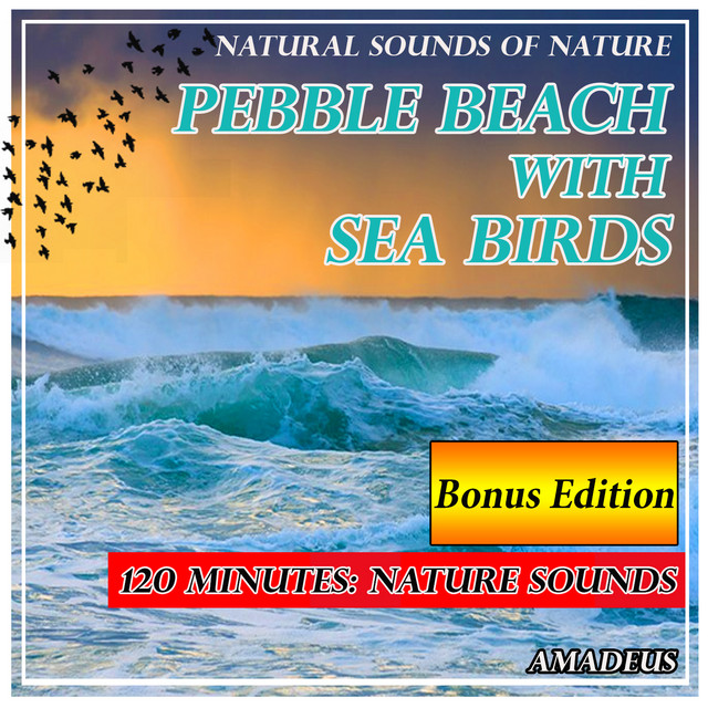 Pebble Beach with Sea Birds: Natural Sounds of Nature: Bonus Edition cover art