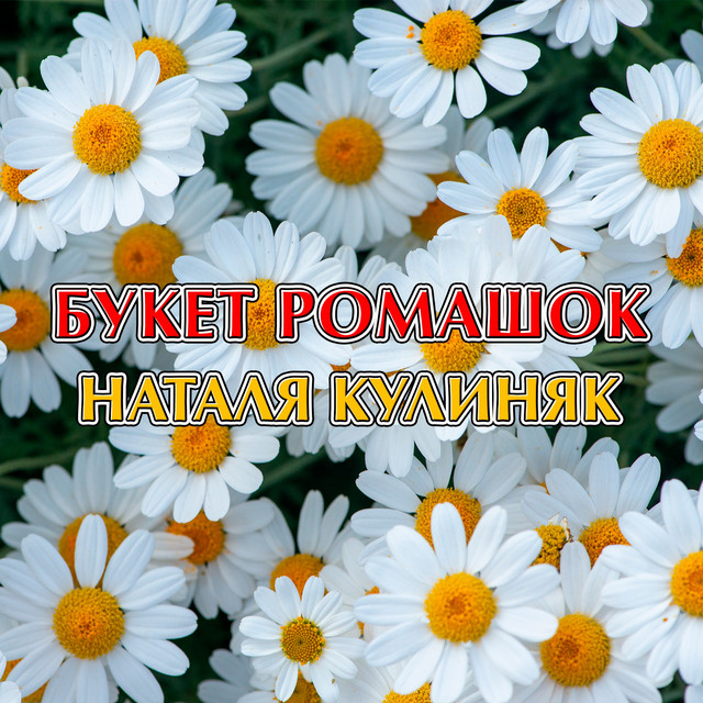 Обкладинка: Букет ромашок — Наталя Кулиняк