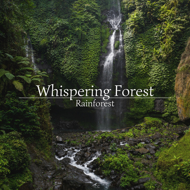 Whispering Forest Photo