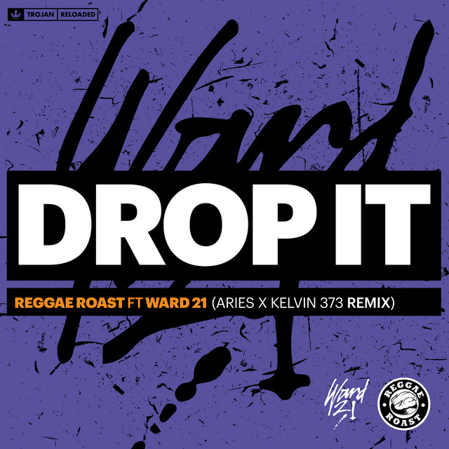 Drop It (feat. Ward 21) [Aries & Kelvin 373 Remix]