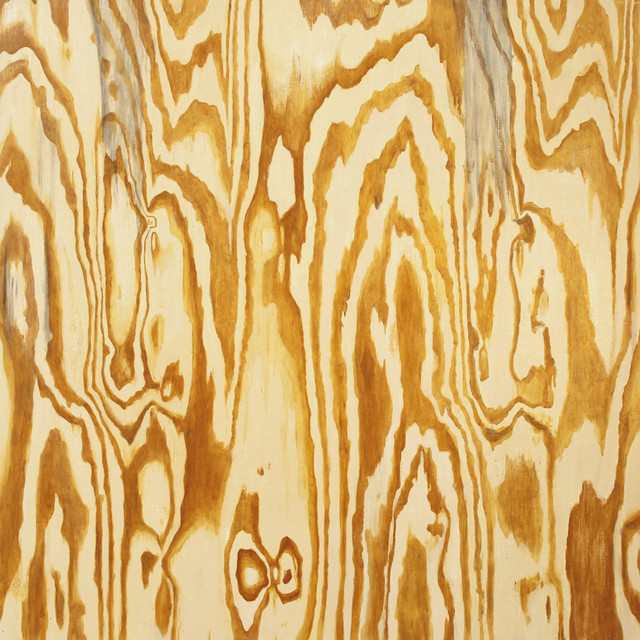 Wooden Aquarium cover art