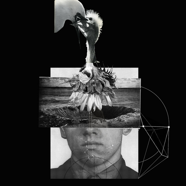Mind Over Matter cover art
