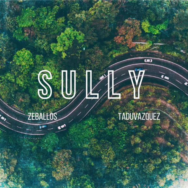 Sully cover art