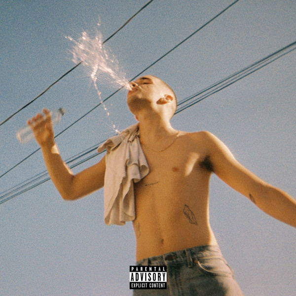 Vitamin D cover art