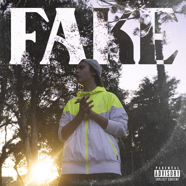 Fake cover art
