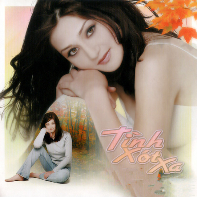 Thúy Hằng 6 - Tình xót xa cover art