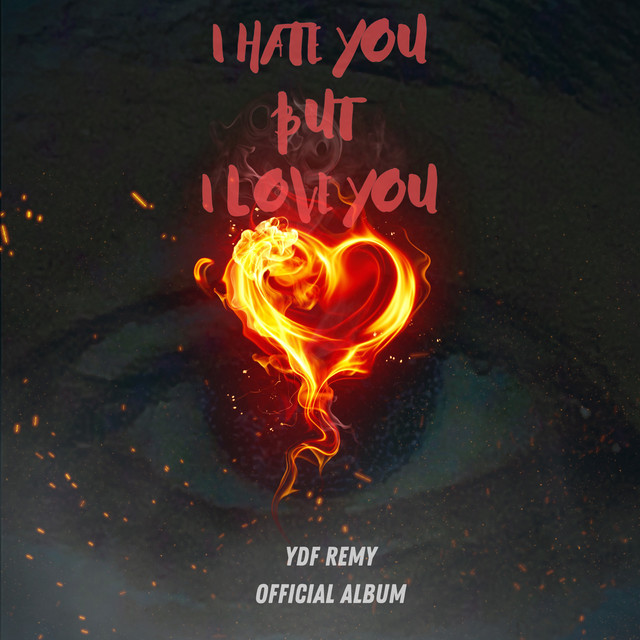 I Hate You But I Love You cover art
