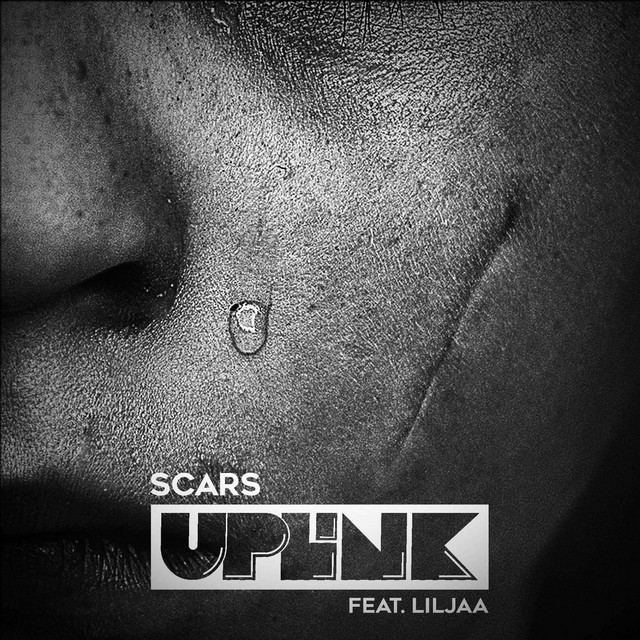 Scars cover art