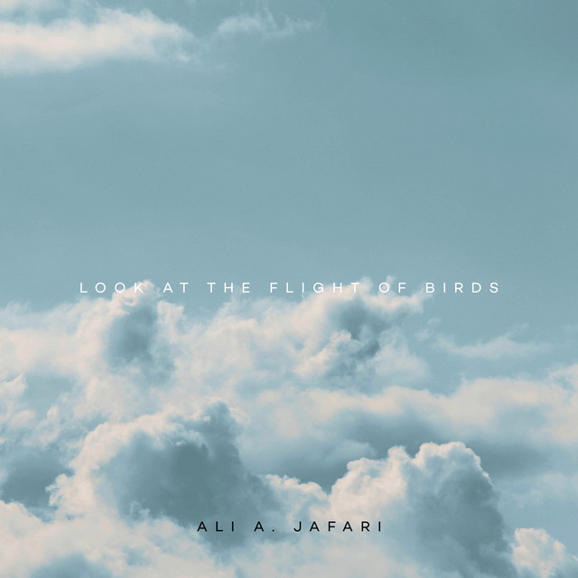 Look at the Flight of Birds cover art