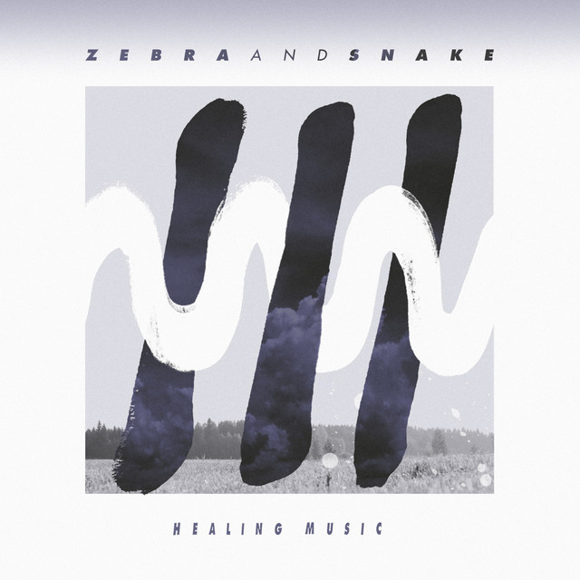 Zebra and Snake Photo
