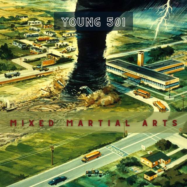 Mixed Martial Arts cover art
