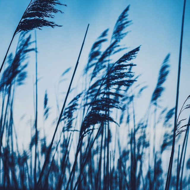 Breeze (Extended) cover art