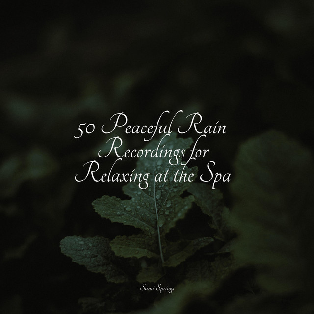 50 Rain Sounds for Sleep and Serenity - Album by Rainy Sounds | Spotify