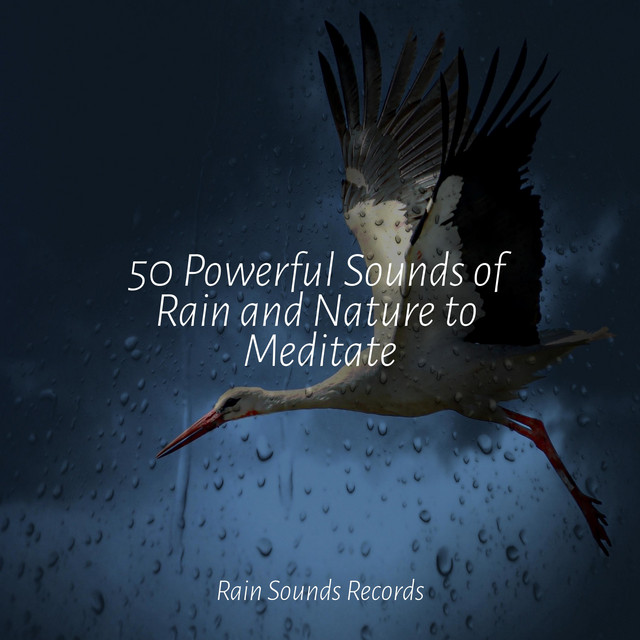 Dewy Lullaby Cascade - song and lyrics by Pro Sound Effects Library ...