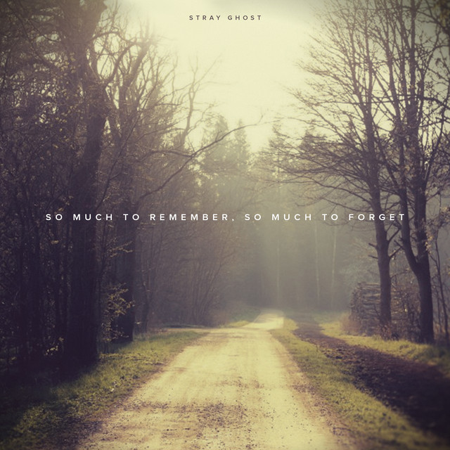 So Much To Remember, So Much To Forget cover art