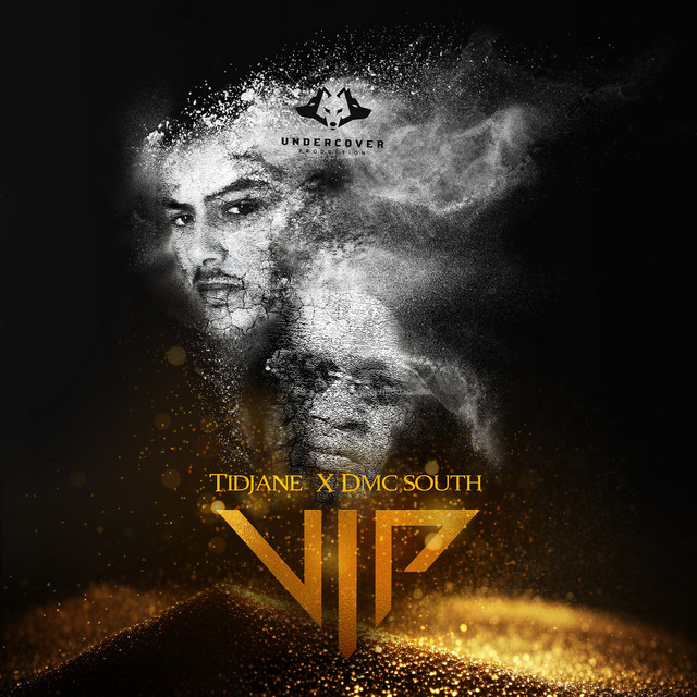 V.I.P cover art