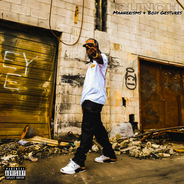 Mannerisms & Body Gestures cover art
