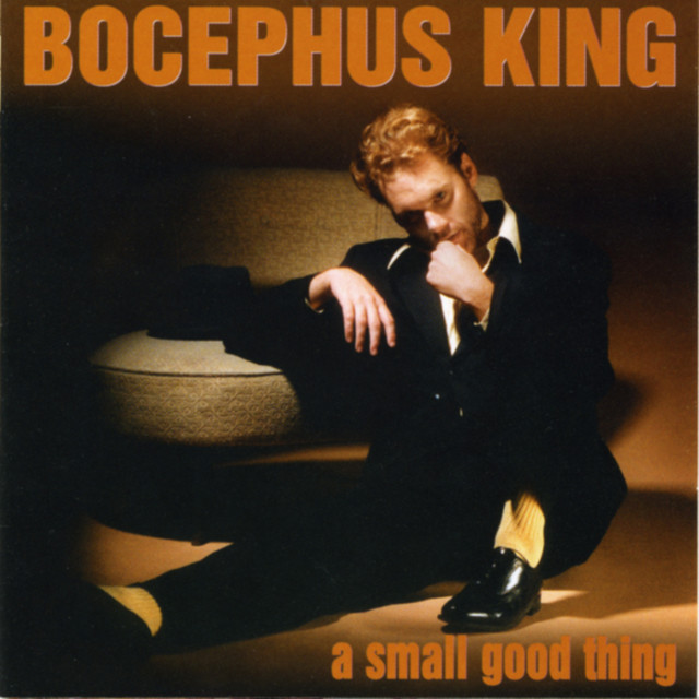 A Small Good Thing cover