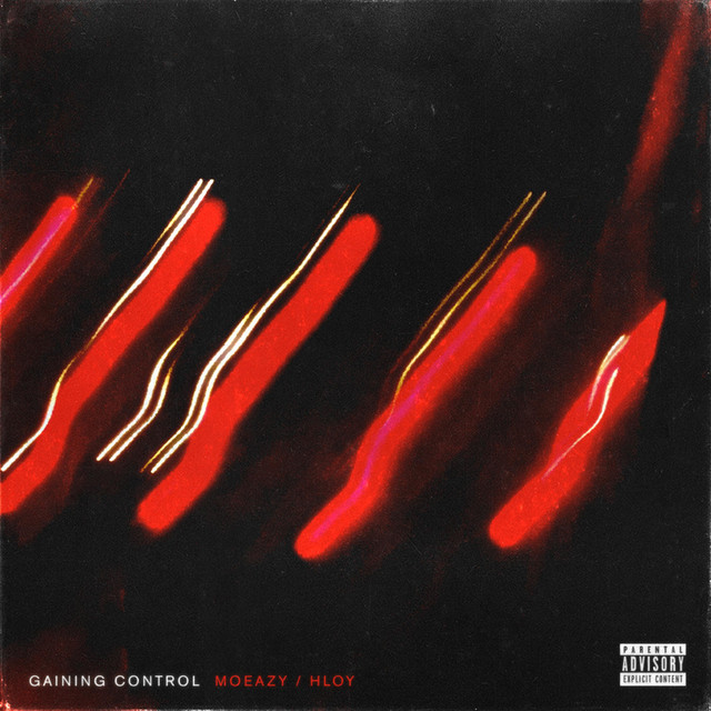 Gaining Control cover art