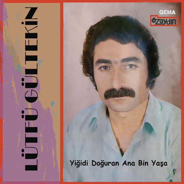 Yiğidi Doğuran Ana Bin Yaşa cover art