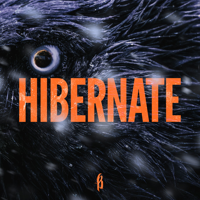 Hibernate cover