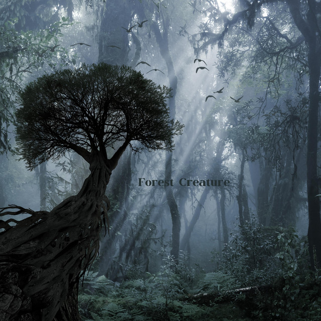 Forest Creature by Stereo Outdoor Sampling