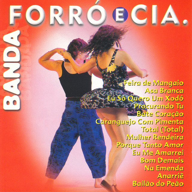 Banda Forró e Cia