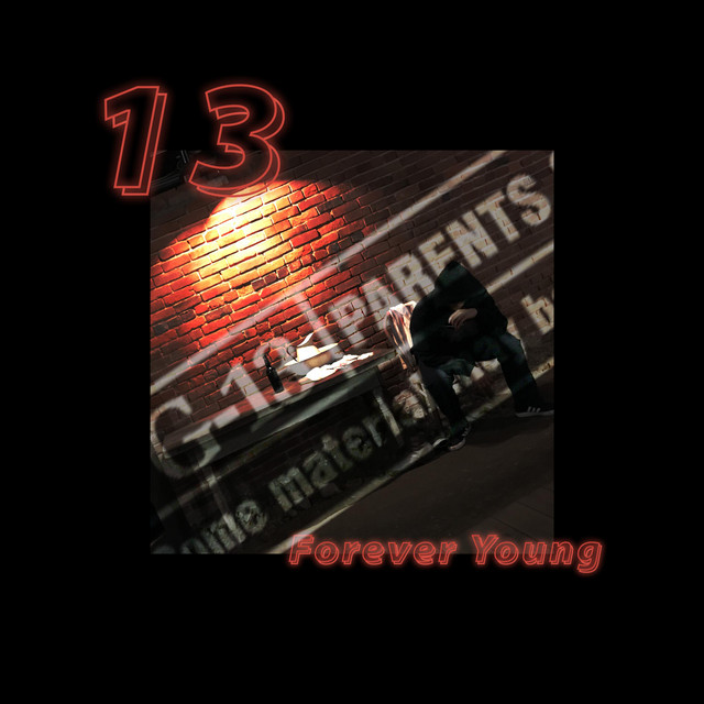 13 cover
