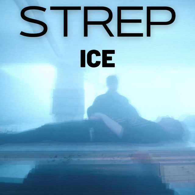 Ice cover art