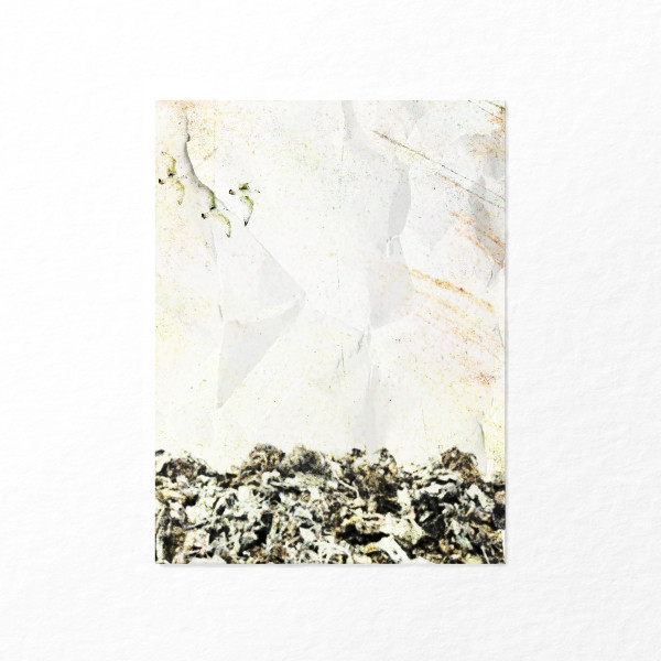 Dumpster Story cover art