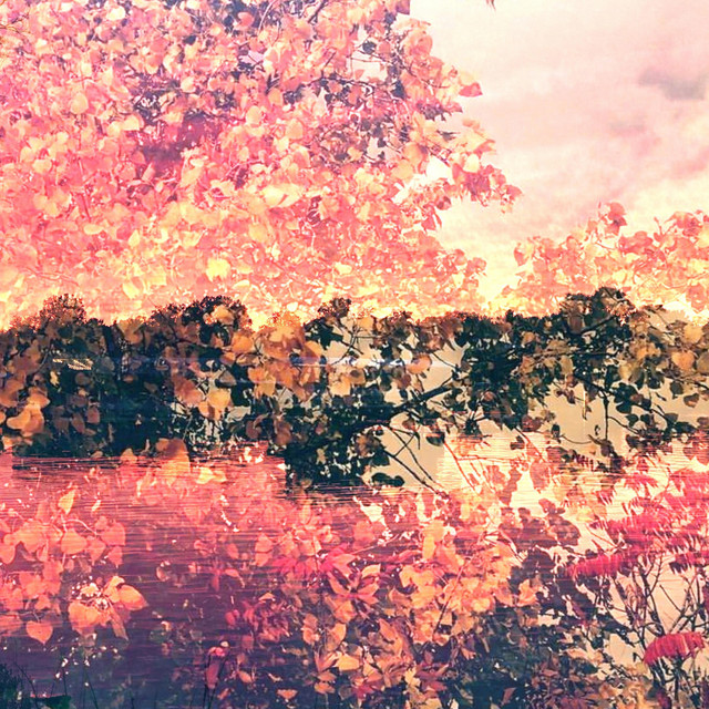 Bliss cover art