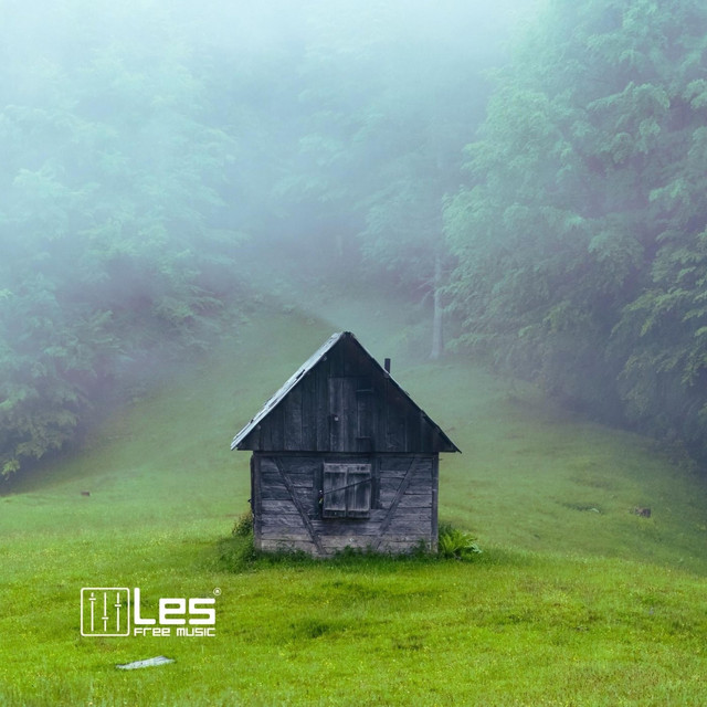 Обкладинка: In The Wood — Lesfm