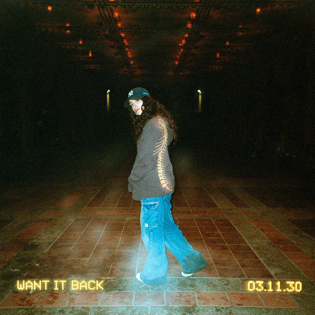 Want It Back