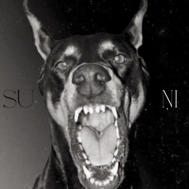 Suņi cover art