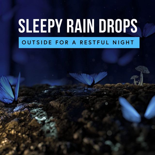 Sleepy Rain Drops Outside for a Restful Night cover art