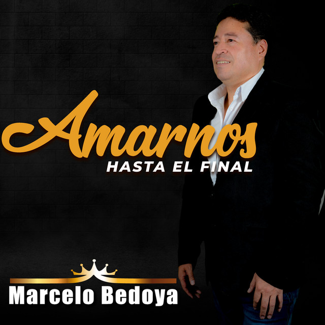 Amarnos Hasta El Final cover art