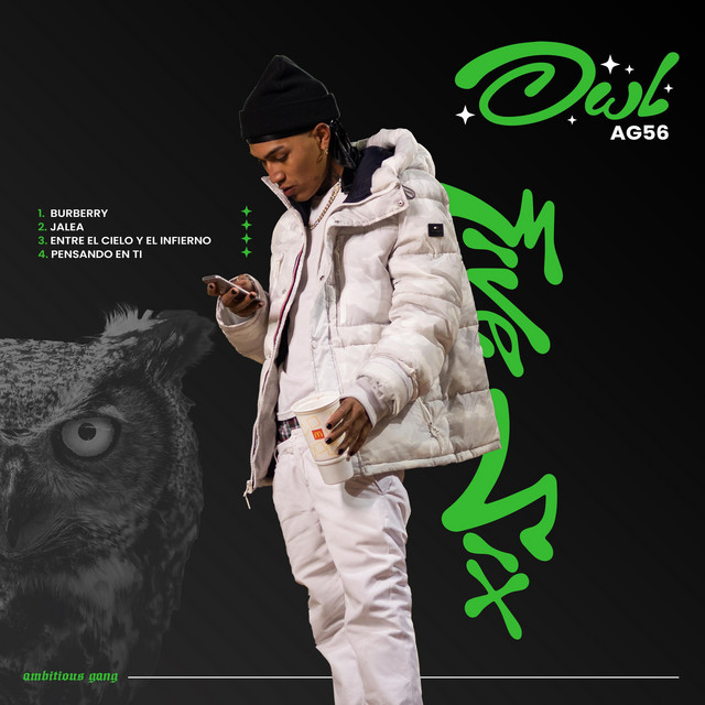 OWL cover art