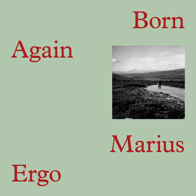 Marius Ergo
