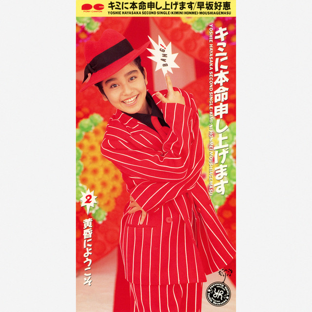Kimi ni Honmei Moshiagemasu cover