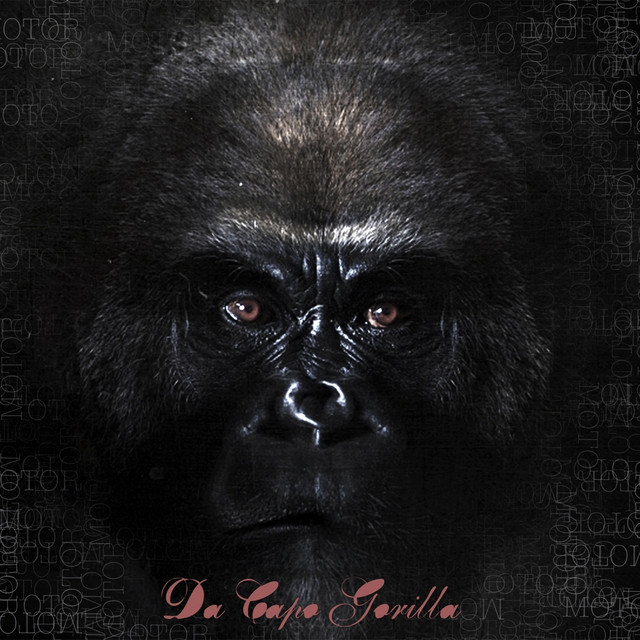 Da Capo Gorilla cover art