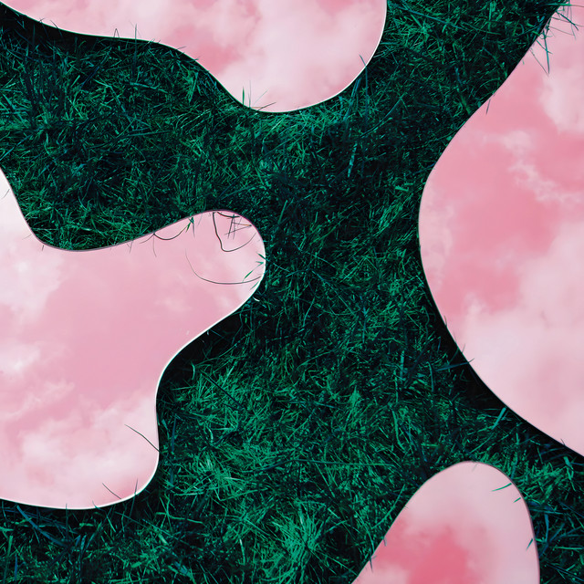 & Co cover