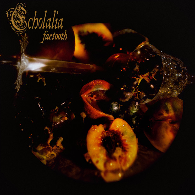 Cover of Echolalia by Faetooth