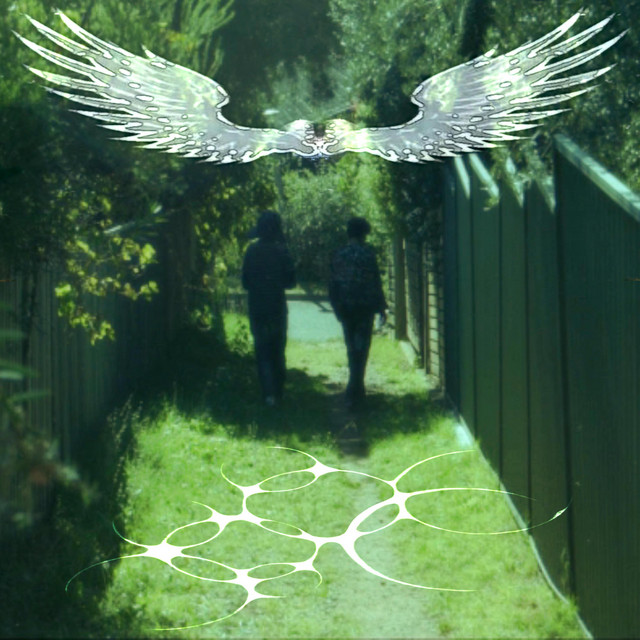 the vision i keep trying to see passes right by me cover art