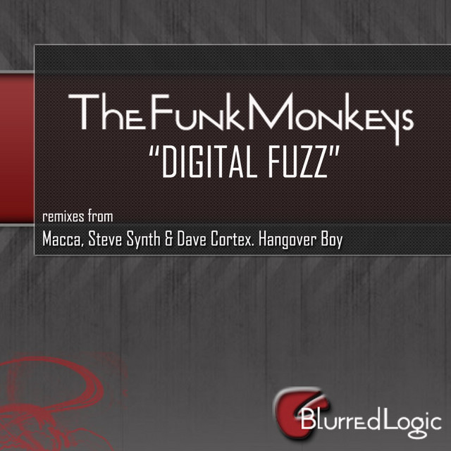 Digital Fuzz cover art