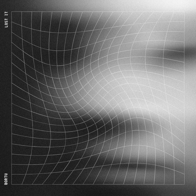 LOST IT cover art
