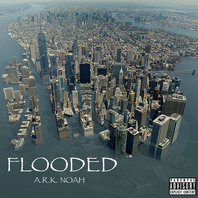 FLOODED cover