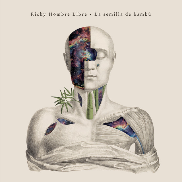 La Semilla de Bambú cover art