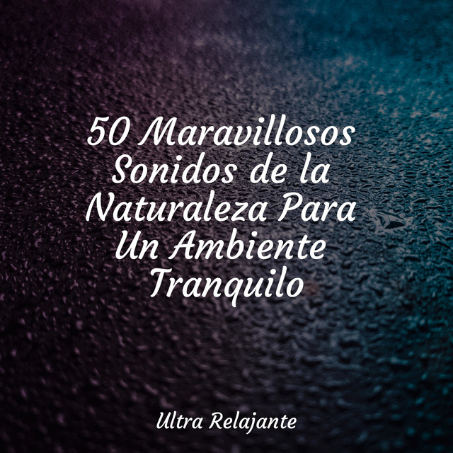 50 Maravillosos Sonidos de la Naturaleza Para Un Ambiente Tranquilo cover art