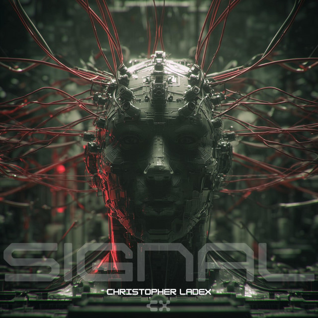 Signal