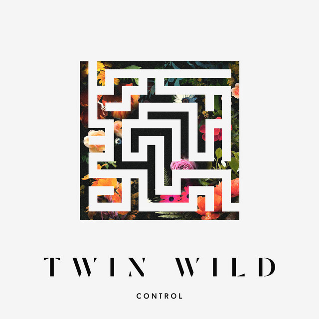 Control cover art